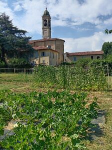 Socialorto Paderno d'Adda