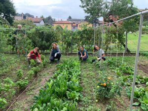 Socialorto Paderno d'Adda
