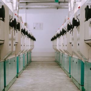 Molino Colombo, azienda. Foto di www.molinocolombo.it