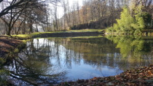 Laghetto di Praela. Foto da Archivio storico digitale del Comune di Imbersago. Si ringrazia Tullio Riva