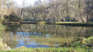 Laghetto di Praela. Foto da Archivio storico digitale del Comune di Imbersago. Si ringrazia Tullio Riva