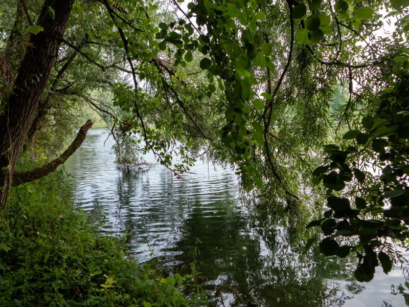 Riserva Naturale del Bosco della Lanca, veduta. Foto da www.parks.it/parco.adda.nord