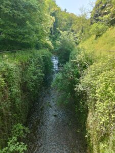 Naviglio di Paderno, foto di Garden 65