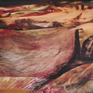 Galleria Premio Morlotti, Leonardo Magnani, Campo matto 1. Foto da www.ecomuseoaddadileonardo.it