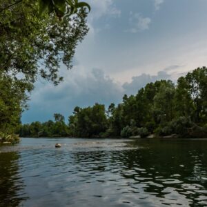 Riserva Naturale del Bosco della Lanca, veduta. Foto da turismo.parcoaddanord.it