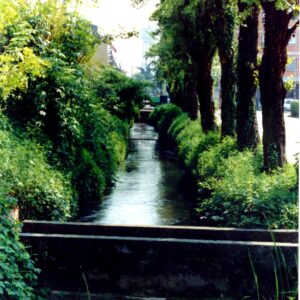 Roggia Melzi. Foto di Giancarlo Lecchi