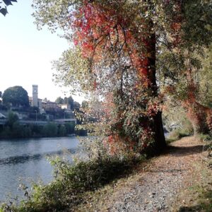 Bocche di Rocca Vailata, sentiero botanico. Foto da Proloco Canonica d'Adda