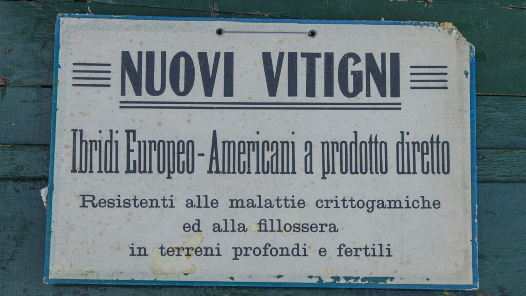 Casa Pirovano. Foto di Mario Donadoni