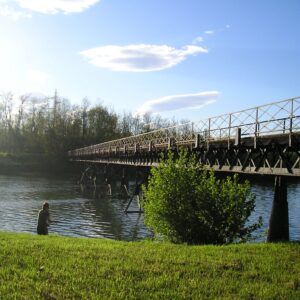 Passerella Pestalozza, veduta dall'alto. Foto da canale ufficiale FB Ecomuseo Adda di Leonardo