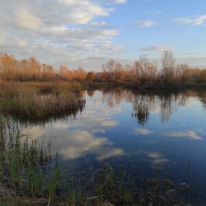 Oasi WWF "Le Foppe". Foto da Canale ufficiale FB