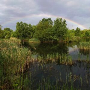 Oasi WWF "Le Foppe". Foto da Canale ufficiale FB