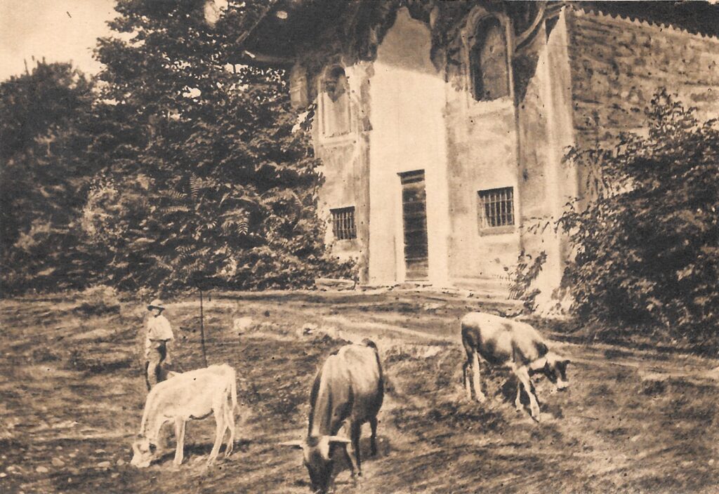 Trezzo, Cava dei Morti, Interno