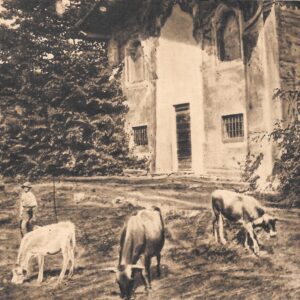 Trezzo, Cava dei Morti, Interno