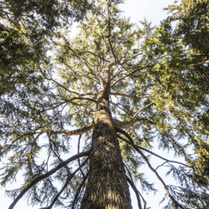 Casa Pirovano. Foto di Mario Donadoni