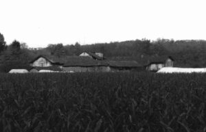 Cascina San Benedetto, immagine storica. Foto da www.lombardiabeniculturali.it
