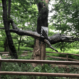 Bosco o Parco del Salecc, Tarantasio. Foto da turismo.parcoaddanord.it