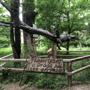 Bosco o Parco del Salecc, Tarantasio. Foto da turismo.parcoaddanord.it