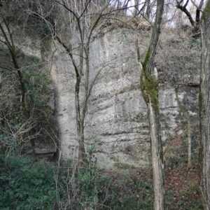 Rondanera. Foto da http://www.falesiatrezzo.altervista.org