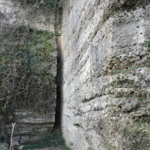 Rondanera. Foto da http://www.falesiatrezzo.altervista.org