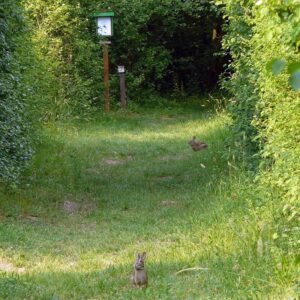 Oasi WWF "Le Foppe". Foto da www.wwf.it