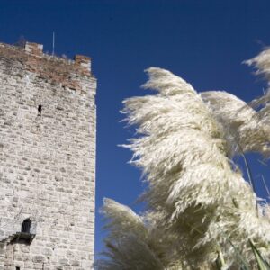 Castello Visconteo. Foto da turismo.parcoaddanord.it