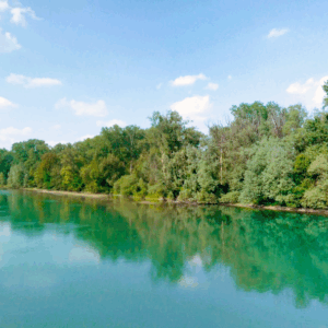 Parco del Pignone, veduta. Foto di Garden 65