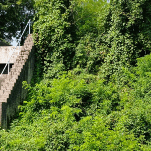 Salto del Gatto, veduta. Foto di Garden 65