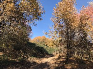 Robbiate, Monte Robbio in autunno