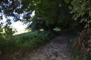 Robbiate, salita al Monte Robbio