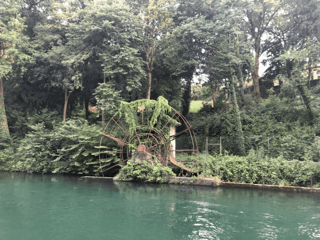 Bosco o Parco del Salecc, ruota. Foto da turismo.parcoaddanord.it