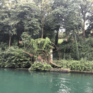 Bosco o Parco del Salecc, ruota. Foto da turismo.parcoaddanord.it