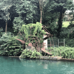 Bosco o Parco del Salecc, ruota. Foto da turismo.parcoaddanord.it