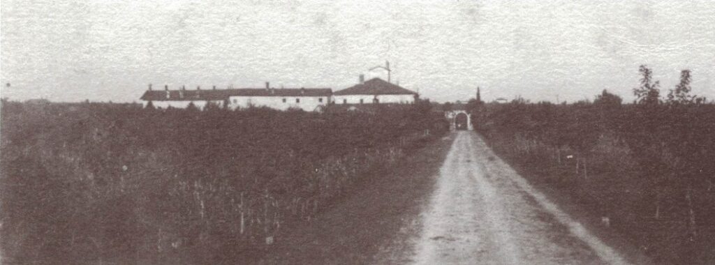 Villa Paradiso, 1989, da www.ecomuseoaddadileonardo.it