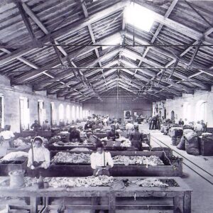 Ex Cartiera Binda. Da turismo.parcoaddanord.it